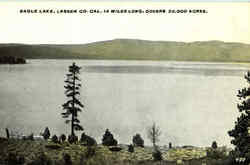 Eagle Lake Scenic, CA Postcard Postcard