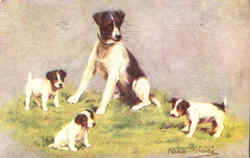 Dog Family Dogs Postcard Postcard