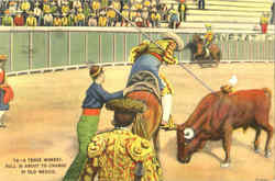 A Tense Moment - Bullfight Mexico Postcard Postcard