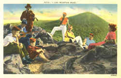 I Like Mountain Music Postcard