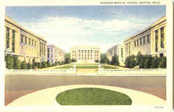 Harvard Medical School Postcard