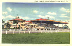 Winter Racing At Tropical Park Miami, FL Postcard Postcard