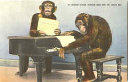 Monkey Show, Forest Park Zoo St. Louis, MO Postcard Postcard