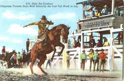 Ride Em Cowboy Postcard