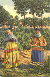 Seminole Indian Women In Their Native Garb Postcard