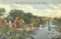 Seminole Indians In The Heart Of The Florida Everglades Native Americana Postcard Postcard