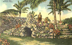 Musa Isle Wishing Well Postcard