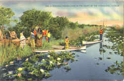 A Seminole Indian Camp In The Heart Of The Everglades Native Americana Postcard Postcard