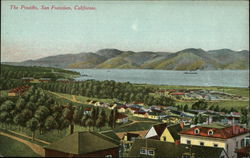 The Presidio San Francisco, CA Postcard Postcard Postcard