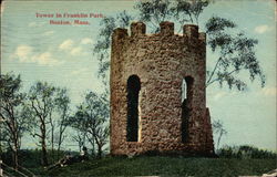 Tower in Franklin Park Postcard