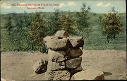 The Famous Spring at Franklin Park Boston, MA Postcard Postcard Postcard