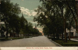 Harrison Street, looking North Topeka, KS Postcard Postcard Postcard