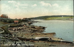 Shore Scene Isle au Haut, ME Postcard Postcard Postcard