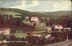 View of Mountain Dale New York Postcard Postcard Postcard