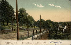 Chestnut Street at the Chinese Wall Oneonta, NY Postcard Postcard Postcard