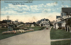 Tuckernuck Avenue, from Waban Park Postcard