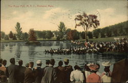 Massachusetts Agricultural College - The Rope Pull Amherst, MA Postcard Postcard Postcard