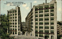 Burgess and Lang Buildings Postcard