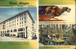 Hotel Aragon Postcard