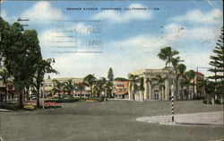 Orange Avenue Postcard