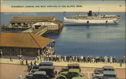 Steamboat Landing and Boat Arriving Postcard