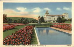 Municipal Rose Garden Postcard