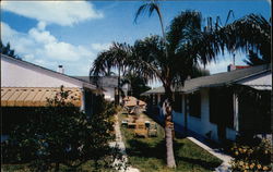 Rankin's Motel Apartments on Treasure Island St. Petersburg, FL Postcard Postcard Postcard