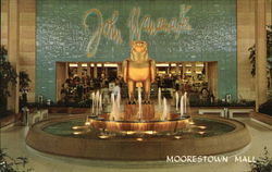 Morrestown Mall Shopping Center Postcard