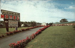 Cloverleaf Motel Postcard