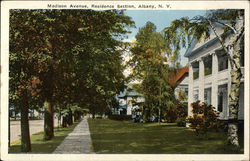 Madison Avenue, Residence Section Albany, NY Postcard Postcard Postcard