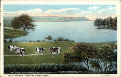 Lake Tashmoo Postcard