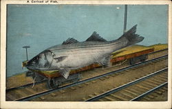 A Carload of Fish Exaggeration Postcard Postcard Postcard