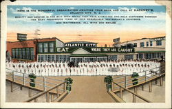 Hackney's - The Largest Sea Food Restaurant In The World Atlantic City, NJ Postcard Postcard Postcard