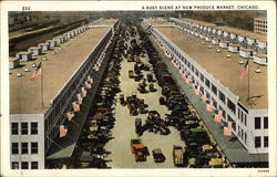 A Busy Scene at New Produce Market Chicago, IL Postcard Postcard Postcard