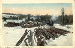 Logging in the Maine Woods Rangeley, ME Postcard Postcard Postcard