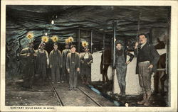 Sanitary Mule Barn in Mine Mining Postcard Postcard Postcard