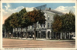 Hotel Sidney New York Postcard Postcard Postcard