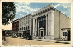 Sidney National Bank New York Postcard Postcard Postcard