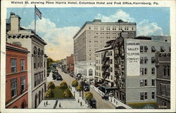 Walnut St. Showing Penn Harris Hotel, Columbus Hotel and Post Office Harrisburg, PA Postcard Postcard Postcard