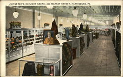 Livingston's Daylight Store, 309 Market Street Harrisburg, PA Postcard Postcard Postcard