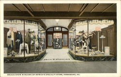 Arcade Show Windows of Astrich's Specialty Store Postcard