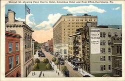 Walnut Street Postcard