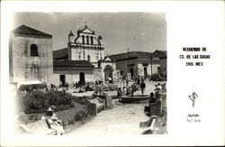 Recuerdo de Cd. de las Casas Postcard