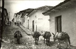 A Typical Prospector Comitán Mexico Postcard Postcard Postcard