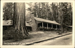 Mariposa Grove of Big Trees Lodge Postcard