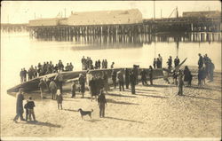 People Looking at Beached Whale Postcard Postcard Postcard