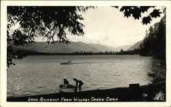 Lake Quinault from Willaby Creek Camp Washington Postcard Postcard Postcard