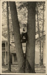 Little Boy Sitting In Tree Boys Postcard Postcard Postcard