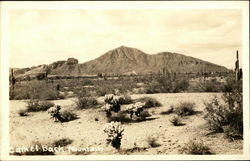 Camel Back Mountain Postcard