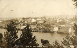 Birds Eye View of La Conner Postcard